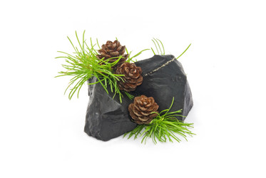 Similar image 190787