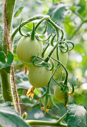 Similar image 190793