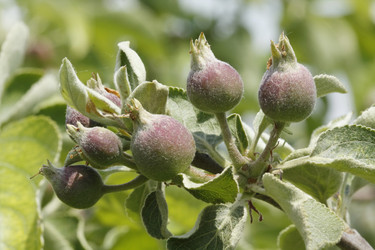 Similar image 190795