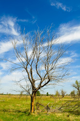 Similar image 190797