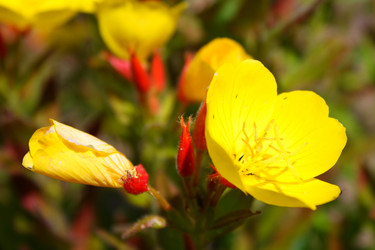 Similar image 190803