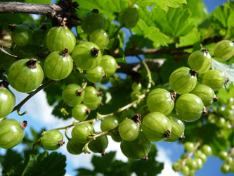 Similar image 190806