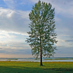 Similar image 190845