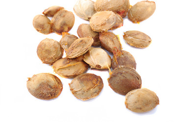 Similar image 190893