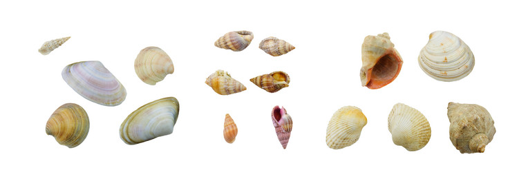 Similar image 190907