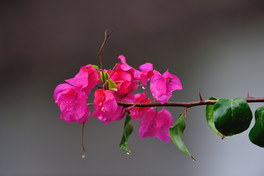 Similar image 190937