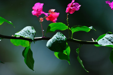 Similar image 190939