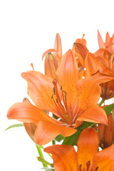 Similar image 190945