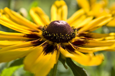 Similar image 190956