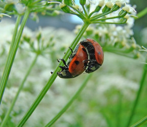 Similar image 190966