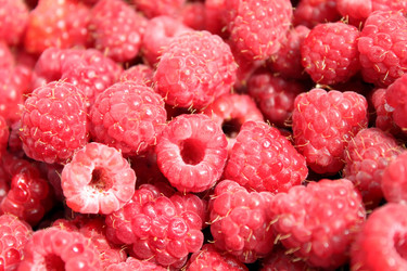 Similar image 190976