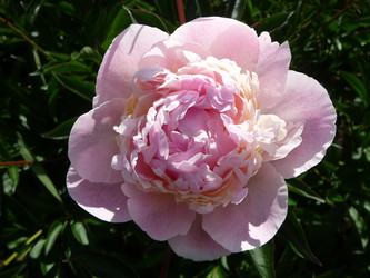 Similar image 191002