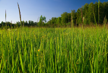 Similar image 191004