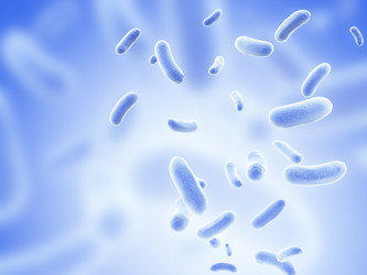 Similar image 191021