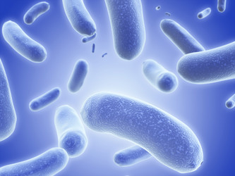 Similar image 191022