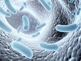 Similar image 191024