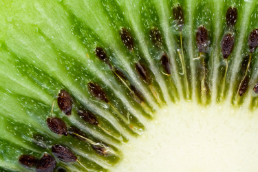 Similar image 191060