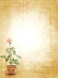 Similar image 191113