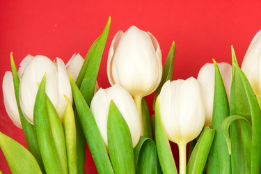 Similar image 191120