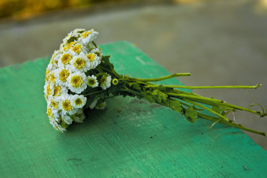 Similar image 191147