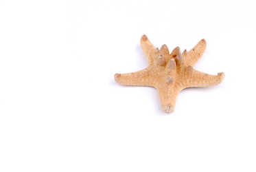 Similar image 191162