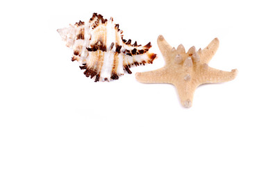 Similar image 191170