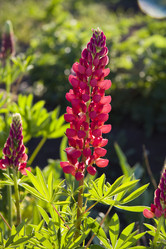 Similar image 191175