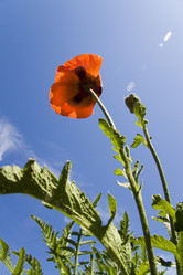 Similar image 191176