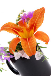 Similar image 191189