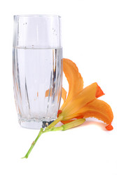 Similar image 191208