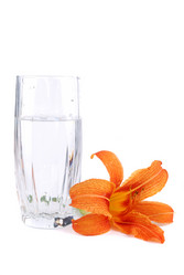 Similar image 191209