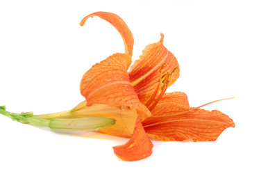 Similar image 191215