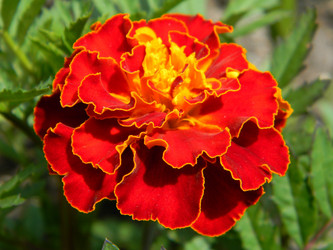 Similar image 191219