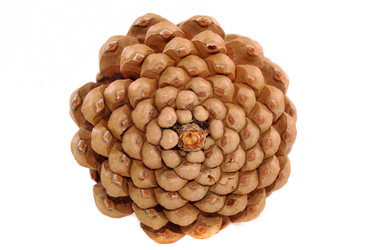 Similar image 191246