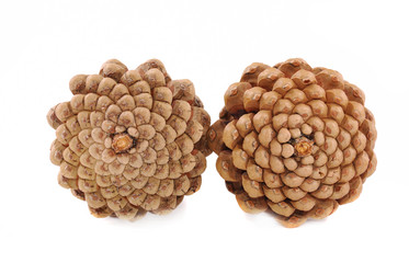 Similar image 191247