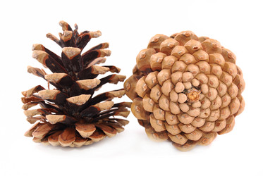 Similar image 191248