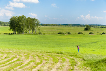 Similar image 191250