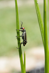 Similar image 191269