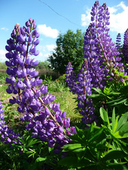 Similar image 191278