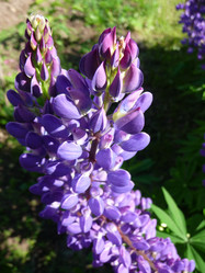 Similar image 191279