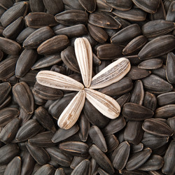 Similar image 191295