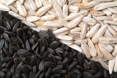 Similar image 191297