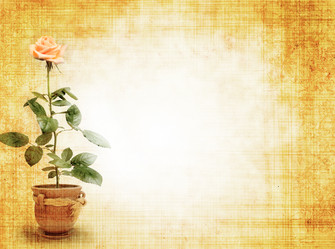 Similar image 191308