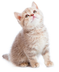 Similar image 191331