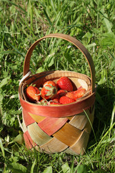 Similar image 191338