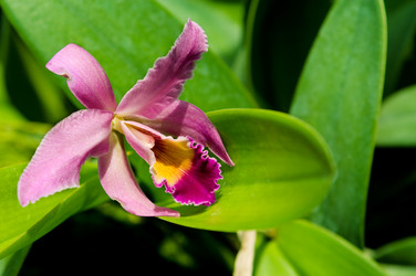 Similar image 191342