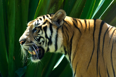 Similar image 191346