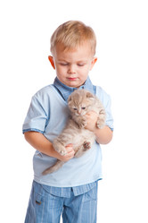 Similar image 191366