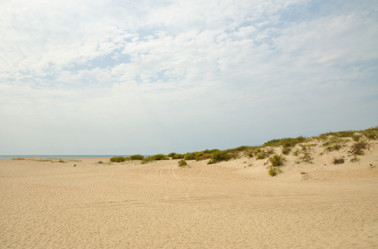 Similar image 191376