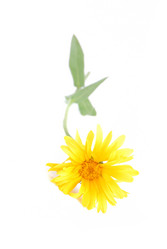 Similar image 191386